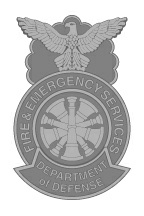 Dept of Defense - FES (silver center)